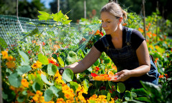 Mi gran pequeña granja