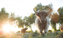 Mi gran pequeña granja