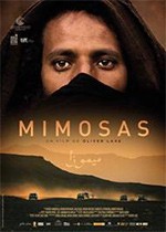Mimosas