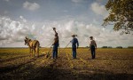 Mudbound
