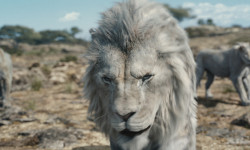 Mufasa: El rey león
