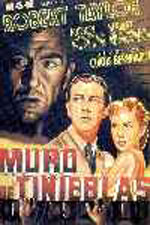 Muro de tinieblas