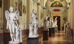 Museo Hermitage: El poder del arte
