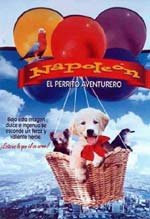 Napoleón. El perrito aventurero