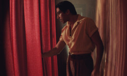 Narciso