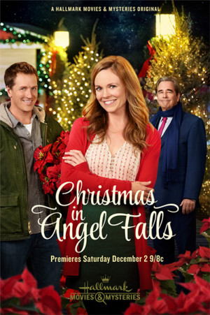 Navidad en Angel Falls (2017)