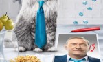 Siete vidas, este gato es un peligro