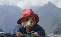 Paddington: Aventura en la selva