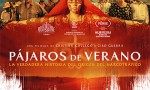 Pájaros de verano