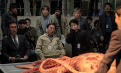 Parasyte: Los grises