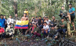 Perdidos en la jungla