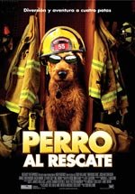 Perro al rescate