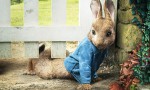 Peter Rabbit