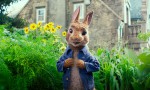 Peter Rabbit