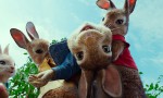 Peter Rabbit