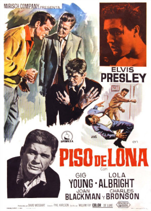 Piso de lona