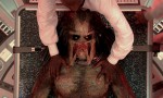 Predator