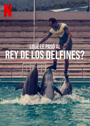 ¿Qué le pasó al rey de los delfines?