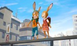 Rabbit School