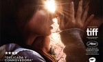 Hacia la luz