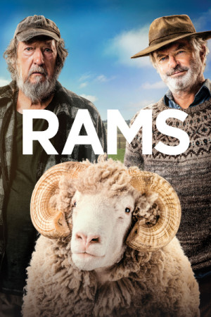 Rams