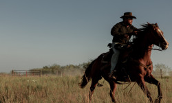 Rancho Dutton