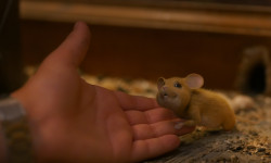 Ratones al ataque: Operación Navidad