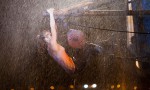 [Rec] 4 Apocalipsis