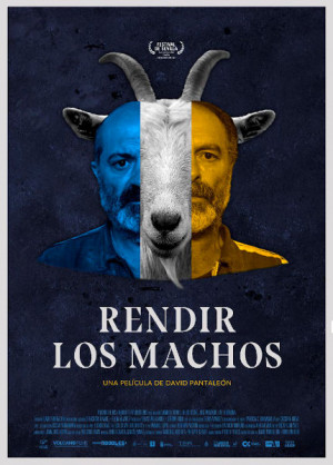 Rendir los machos