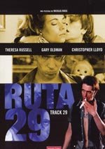 Ruta 29
