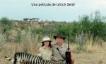 Safari