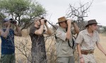 Safari