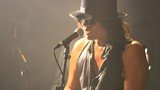 Searching for Sugar Man