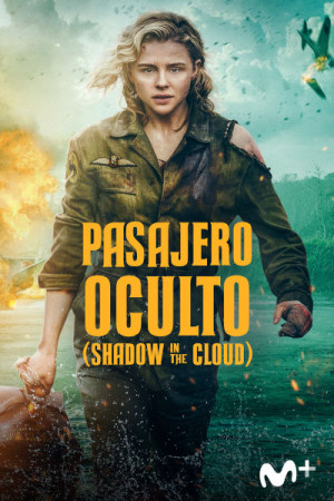 Pasajero oculto