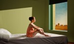 Shirley: Visiones de una realidad