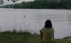 Singular