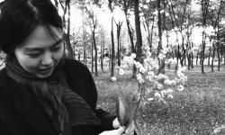 La novelista y su película