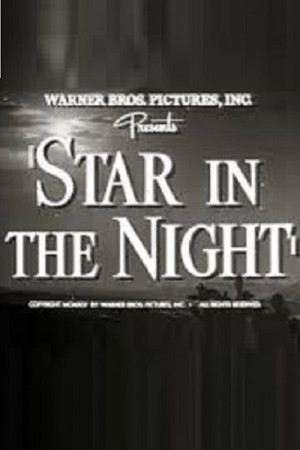 Star in the Night