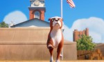 Stubby, un héroe muy especial