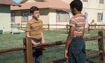 Suburbicon