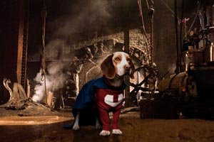 Superdog foto crítica.