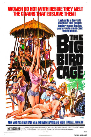 The Big Bird Cage