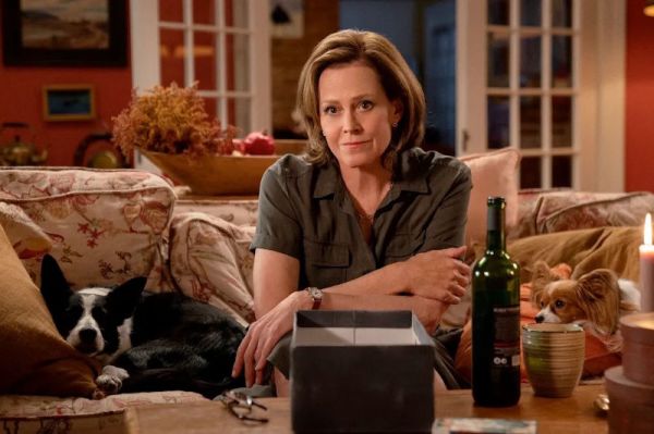 Una buena casa foto crítica.