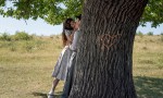 La historia del amor