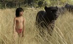 El libro de la selva
