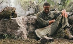 Con todos los honores