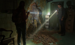 The Last of Us