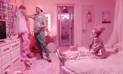 El misterio del Pink Flamingo