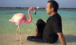 El misterio del Pink Flamingo