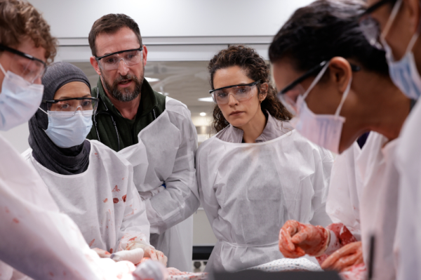 The Pitt (2ª temporada)